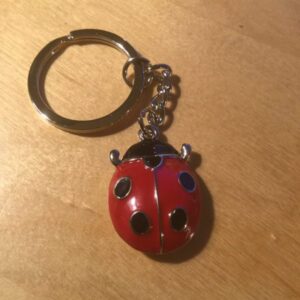Lady Bug Key Charm – Retail Price Shown Below